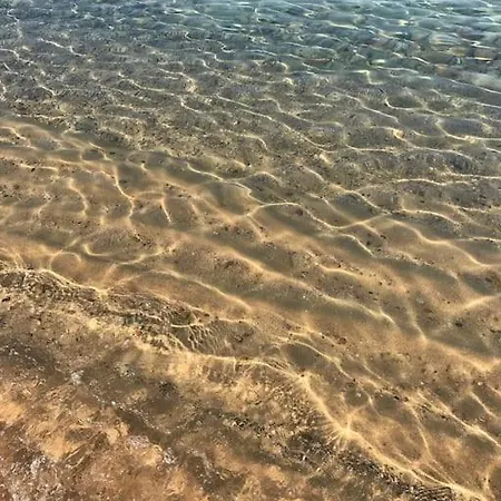 Au Calme A En Corse Chalet *